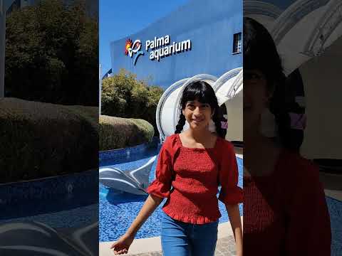 Places to see in Mallorca. #spainvacations #mallorca