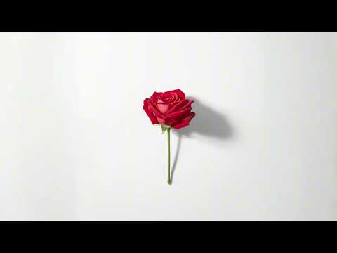 Caio Klin - This Is Just Love