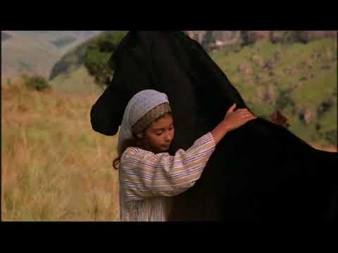 Der schwarze Hengst - Wie alles begann (Film) Trailer - Deutsch