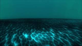 Crywolf - Angels [Acoustic Version feat. emalyn]