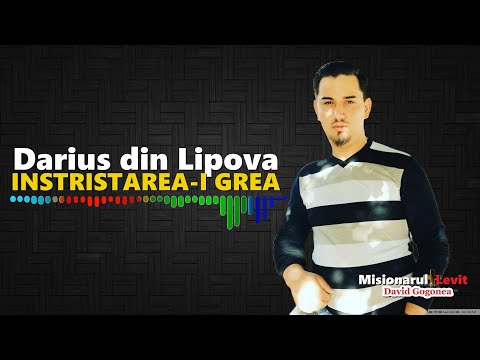 Darius din Lipova ❎ Intristarea mi-a luat puterea