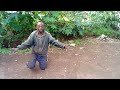 Afrique Akanyenga Official Music