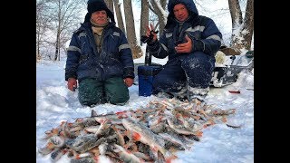 Рыбалка там где клюет карты окуня