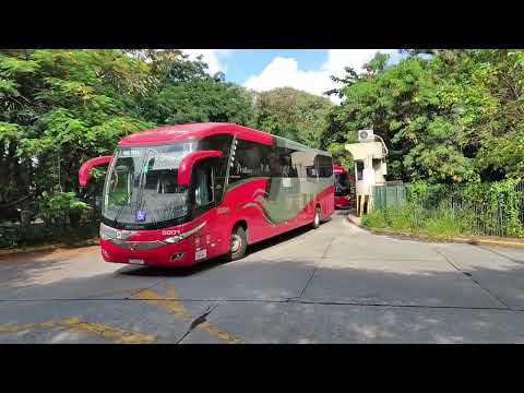 Rodoviária do Tietê SP 339