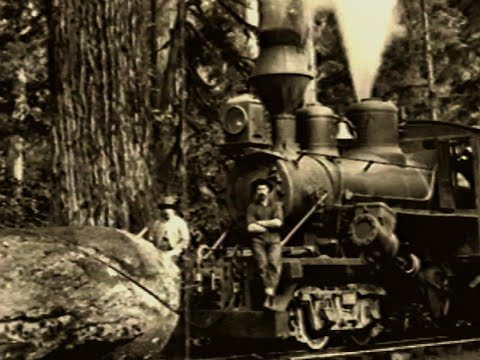 The American Hobo History of the Railriding Worker