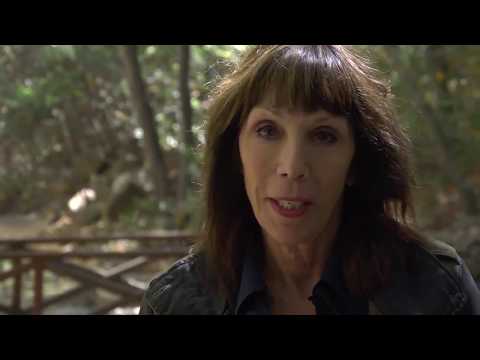 2665 San Marcos Pass Rd | Santa Barbara - The Agency