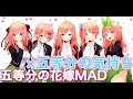 【MAD】五等分の花嫁×五等分の気持ち