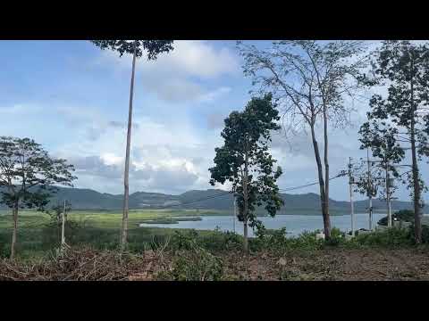 18.5 rai of rubber plantation land is for sale with fantastic sea views in Takua Thung, Phang Nga.