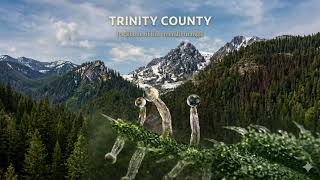 TRINITY COUNTY: THE BACKBONE OF THE EMERALD TRIANGLE 🌲