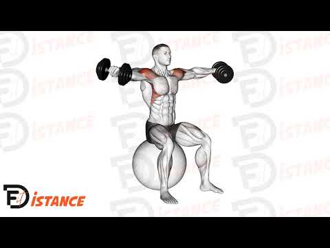 Élévations latérales assise avec haltères sur ballon (Swiss Ball) - Exercice Élévations latérales assise avec haltères sur ballon (Swiss Ball) en vidéo