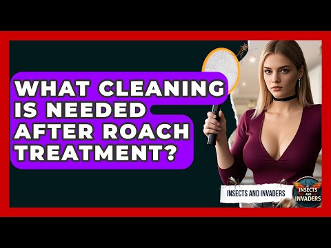 What Cleaning Is Needed After Roach Treatment? - Insects and Invaders