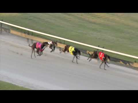 Albion-Park-11112018-Race-4