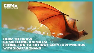 How to Draw Compelling Animals: Flying Fox to Extinct Cotylorhynchus | Xioafan Zhang