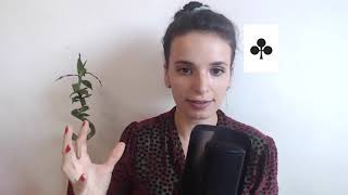 ♣️ Ace of Clubs: From Contemplation to Newness