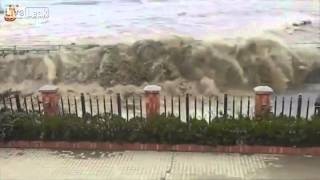 Wave Goodbye