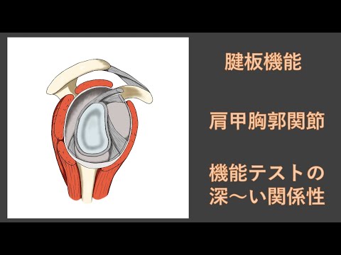 プライカ - 定義