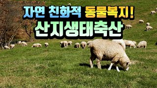 동물복지를 실현할 수 있는 축산 시스템 / YTN 사이언스
