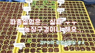 올해 파종실험은... 그냥 농장구경이나 해요 ㅜㅜ   /정원/조경/