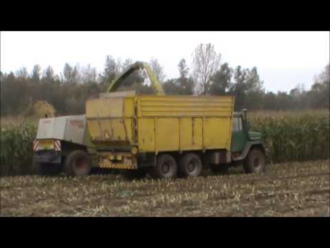 Loonw Dehenau - Steenhuize Wijnhuize