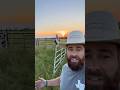 Homemade Chute | How To Work Cows In A Field #cow #farming #work #shorts ￼￼