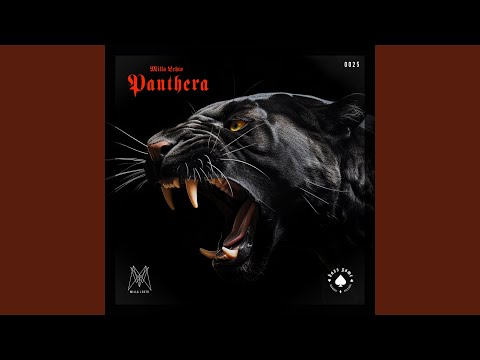 Panthera
