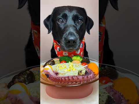 Wednesday Meal😄 #youtubeshorts #shortsvideo #shorts #dogfood #dog #puppy