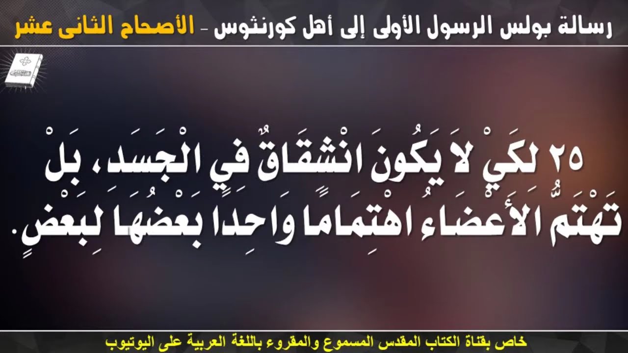 فيديو تفسير الكتاب المقدس | الكتاب المقدس رفيقي