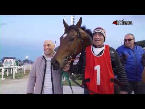 lo que sucedio el pasado 8,9 y 10 de julio