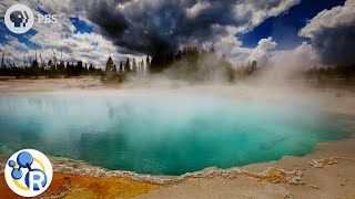 Yellowstone Steaming Acid Pools of Death