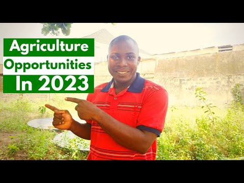 , title : 'Agriculture Business Opportunities In Nigeria | Make Money In 2023'