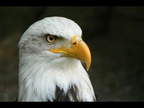 Obłęd - nasza walka