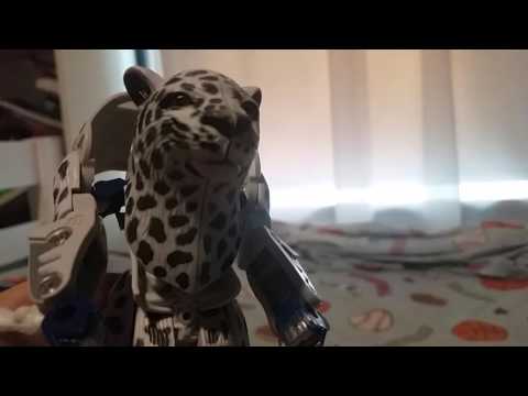 KO Transforming Snow Leopard