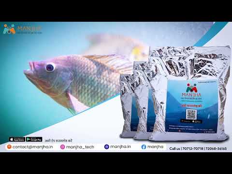 Powder manjha potassium permanganate, 99%, for water treatme...