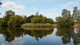 3 Minutes to Relaxation