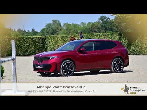 mbappé van't prinsenveld z