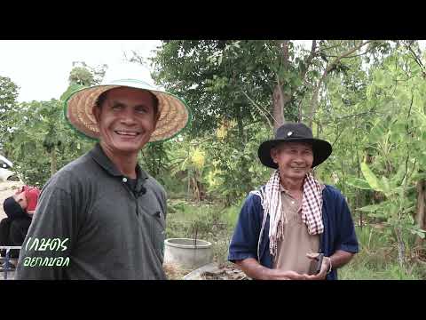 เกษตรอยากบอก | ครูต้นแบบวนเกษตรในเขตปฏิรูปที่ดิน จ.มหาสารคาม
