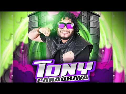 Toni cana brava empina u rabetao música nova