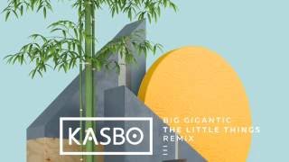 Big Gigantic - The Little Things ft. Angela McCluskey (Kasbo Remix)