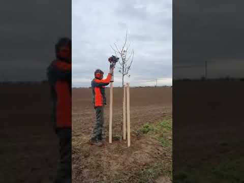 Video Batator stalpi sau electrozi impamantare  hidraulic