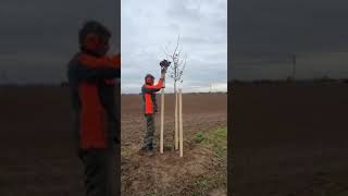 Miniatură video Batator stalpi sau electrozi impamantare  hidraulic