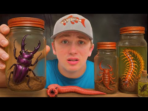 I Bought The Deadliest Insects (to keep as pets)