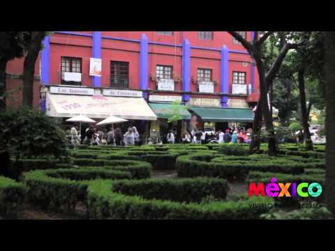 Acepte primero la política de cookies