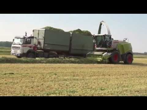 Claas Jaguar 950 Dynamic Power Silózás 2014.