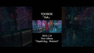 #TOOBOE　New Album「Stupid dog」2024.1.24 Release!!