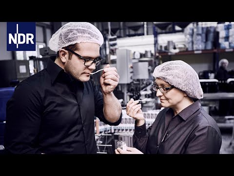 Kürbisbauern im Erntefieber | NDR