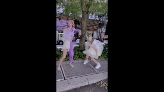 風よ！もっと吹け！ #Shorts