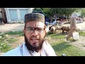 Dumba Mandi Ki Latest Video Price Update Bakra Eid 2021