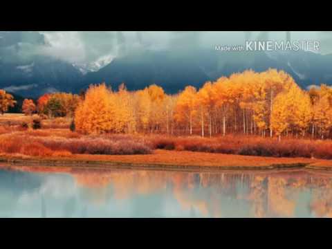 Un curso de Milagros Capítulo 2/4 (IV. La curación y la liberación del miedo )