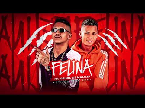 MC REINO, DJ MALICIA - FELINA (REMIX BREGA FUNK) - MUSICA NOVA 2023