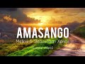 Amasango (lyrics) - Mellow & Sleazy, Tman Xpress ft SjavasDaDeejay & TitoM🔥💯